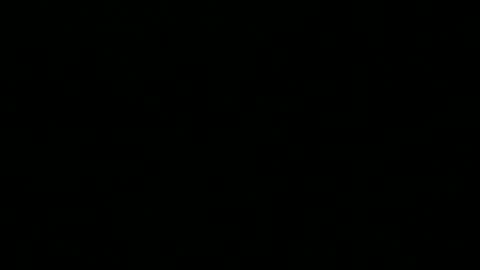 Snapshot of 0815____pet chatting on 12/01/24, 08:31 Peter online show from 12/01/24, 08:31