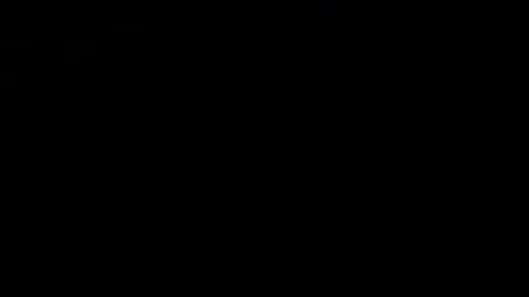 Snapshot of 0815____pet chatting on 12/27/24, 10:37 Peter online show from 12/27/24, 10:37