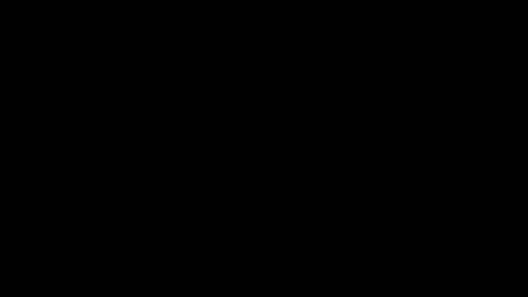 1234check online show from 01/28/25, 12:05