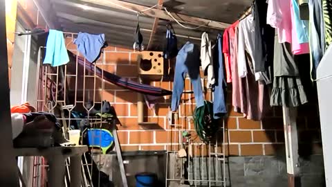 Snapshot of 17cmpolla chatting on 12/06/24, 04:14 17cmpolla online show from 12/06/24, 04:14