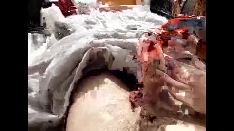 Snapshot of 19spieler99 chatting on 02/08/25, 08:21 19spieler99 online show from 02/08/25, 08:21