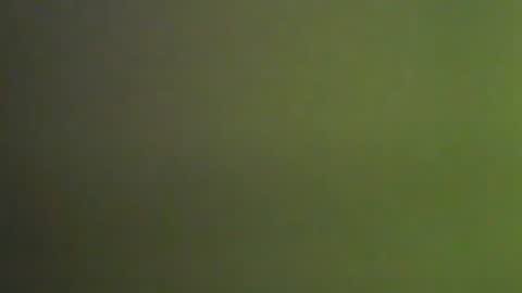 Deluxepussy online show from 01/09/25, 05:11