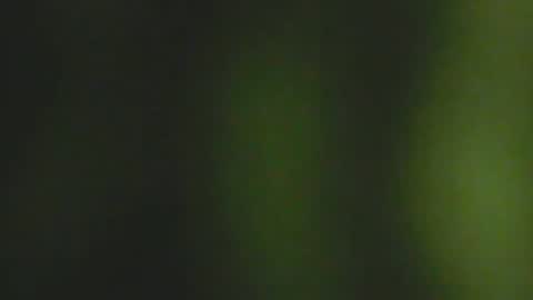 Deluxepussy online show from 02/03/25, 07:40