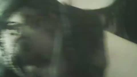 Deluxepussy online show from 11/13/25, 05:01