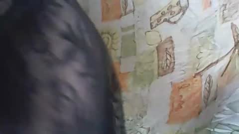 Deluxepussy online show from 11/14/25, 10:03