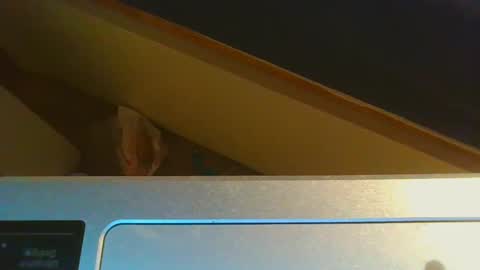 Jason online show from 12/15/24, 08:58