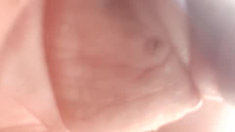 Thisguy online show from 02/12/25, 07:24