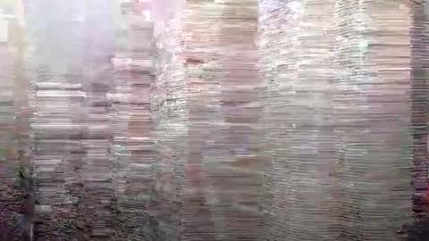 Kyle Brandon online show from 12/13/24, 09:57