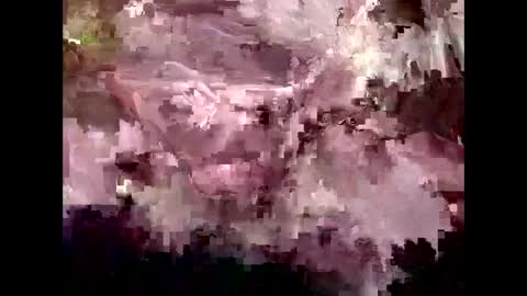 Kyle Brandon online show from 01/30/25, 04:55