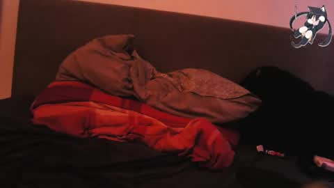 Snapshot of 666horny_boy999 chatting on 12/29/24, 12:23 Shady online show from 12/29/24, 12:23