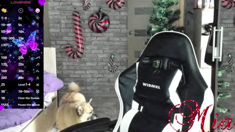 Mia my pvt is open and lovense is active online show from 12/23/24, 08:11