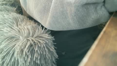 Snapshot of 6969jm chatting on 12/01/24, 05:57 6969jm online show from 12/01/24, 05:57