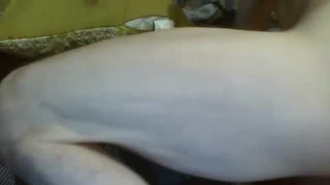 Snapshot of 69sextoyboy69 chatting on 01/02/25, 05:18 69sextoyboy69 online show from 01/02/25, 05:18