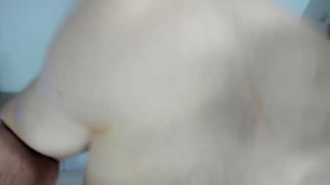 Snapshot of _alex_madrid_ chatting on 01/28/25, 12:54 Alex online show from 01/28/25, 12:54