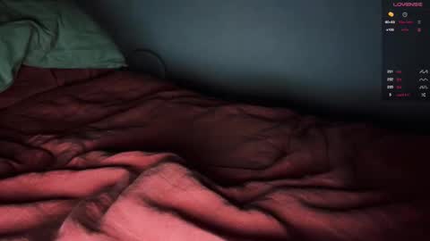 Snapshot of _anise_ chatting on 10/18/25, 03:35 Anise online show from 10/18/25, 03:35