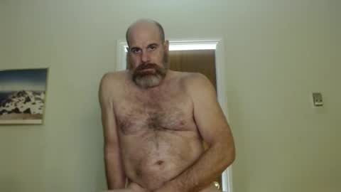 Bacchus online show from 02/03/25, 08:24