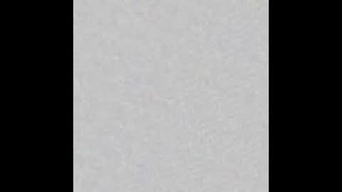 Brenda online show from 01/25/25, 11:44