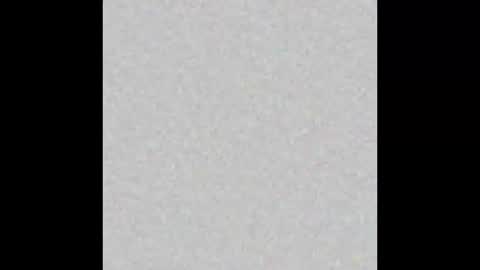 Brenda online show from 02/12/25, 12:01