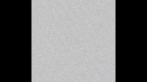 Brenda online show from 10/16/25, 11:55