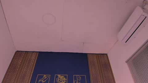 Dakota online show from 12/04/24, 12:52