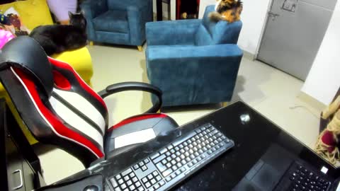 Snapshot of _emma_loyd_ chatting on 02/07/25, 12:53 Emma online show from 02/07/25, 12:53