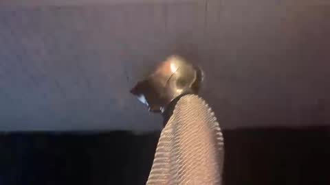 GOODKNIGHT online show from 02/03/25, 05:07