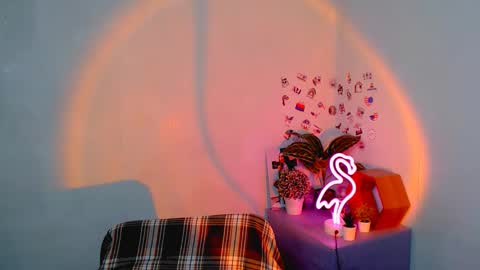 Jolia online show from 11/19/25, 08:03