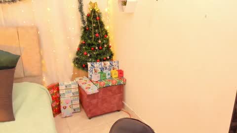 Ivy 3 online show from 12/14/24, 05:07