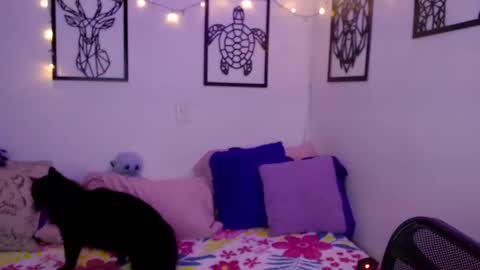 Snapshot of _marcela_wi chatting on 01/18/25, 12:57 Marce  online show from 01/18/25, 12:57