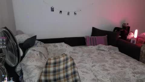  Medaed20  online show from 11/13/25, 07:46