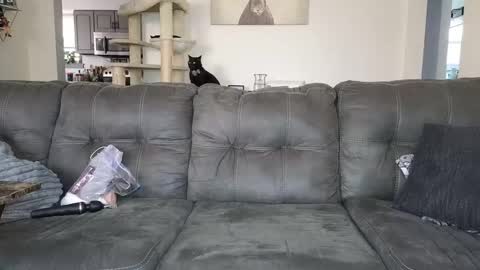 SophiaGraceKnight online show from 11/12/25, 05:13