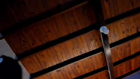 Valery online show from 10/28/25, 03:21