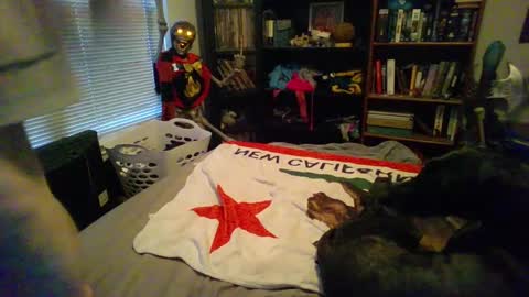 A Bored Dragon online show from 03/11/25, 03:56