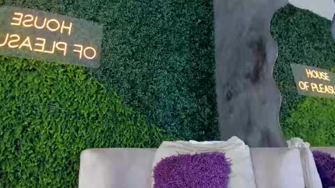 A B B Y online show from 02/13/25, 11:50