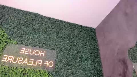 A B B Y online show from 02/19/25, 12:11