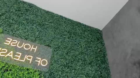 A B B Y online show from 02/26/25, 06:21