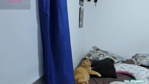 Abby Saenz online show from 10/18/25, 11:27