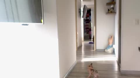 Snapshot of adan_eva960 chatting on 09/10/25, 12:16 eva online show from 09/10/25, 12:16