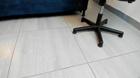 adbel sady online show from 12/27/24, 11:06