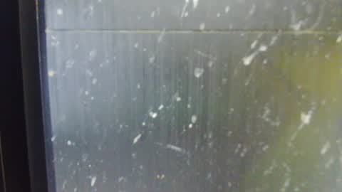 Snapshot of adiraxo chatting on 10/13/25, 01:22 adiraxo online show from 10/13/25, 01:22
