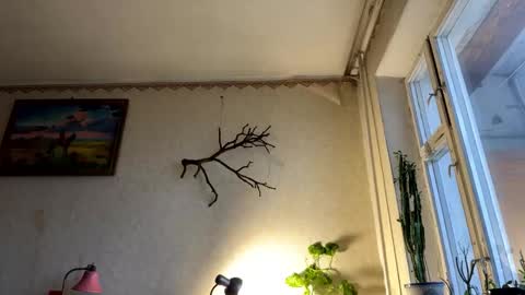 vegans taste better online show from 10/07/25, 05:37