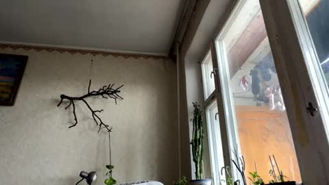 vegans taste better online show from 10/14/25, 06:14