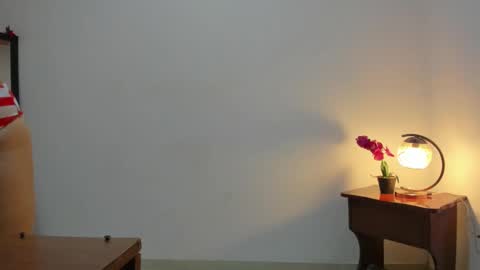 Snapshot of afrodita3123 chatting on 03/04/25, 12:44 Lorena online show from 03/04/25, 12:44