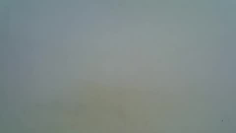 afronubians online show from 03/05/25, 09:16