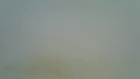 afronubians online show from 03/06/25, 08:37