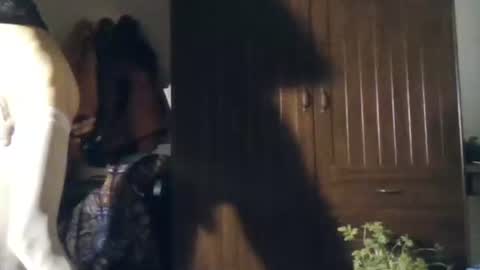 agua online show from 11/22/25, 11:04