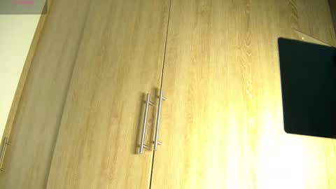 Snapshot of aidaadams chatting on 10/29/25, 11:34 Aida online show from 10/29/25, 11:34