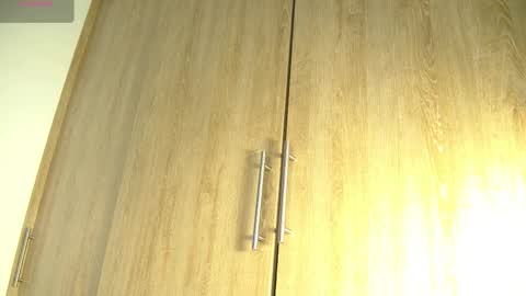 Snapshot of aidaadams chatting on 11/06/25, 11:44 Aida online show from 11/06/25, 11:44