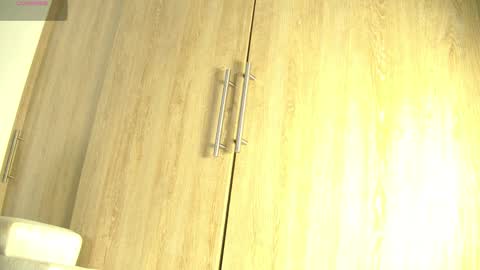 Snapshot of aidaadams chatting on 11/16/25, 11:27 Aida online show from 11/16/25, 11:27