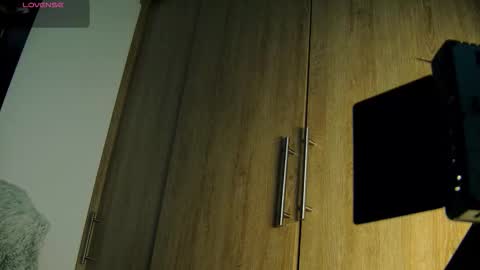 Snapshot of aidaadams chatting on 11/19/25, 09:42 Aida online show from 11/19/25, 09:42